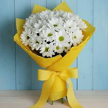 Букет цветов из:  Хризантемы в Мамонах