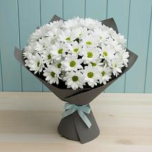 Букет цветов из:  Хризантемы #REPLACE_PRED# Мамонах