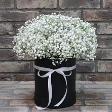 Цветочная композиция из Гипсофила в шляпной коробке в Мамонах